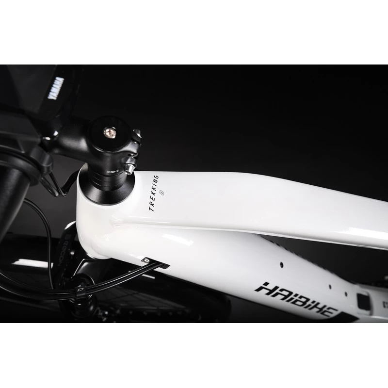 Haibike Trekking 8 Hommes 2022 - Image 6