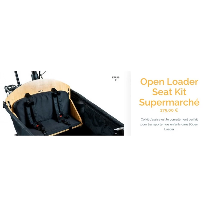 Yuba Bikes Supercargo CL - Image 4